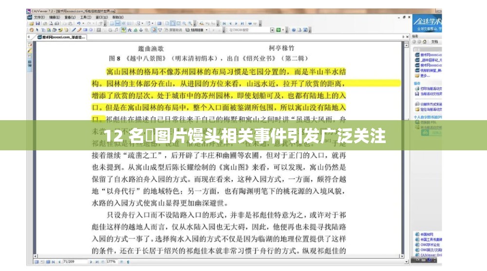 12 名泬图片馒头相关事件引发广泛关注