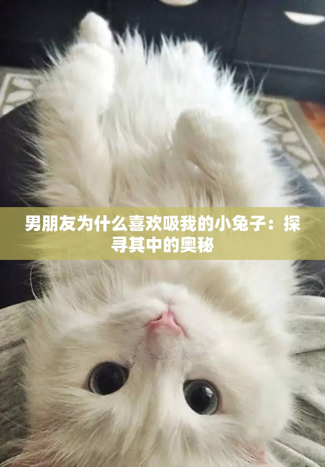 男朋友为什么喜欢吸我的小兔子：探寻其中的奥秘