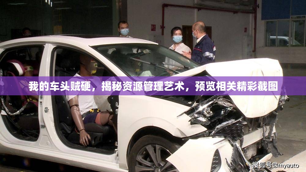 我的车头贼硬，揭秘资源管理艺术，预览相关精彩截图