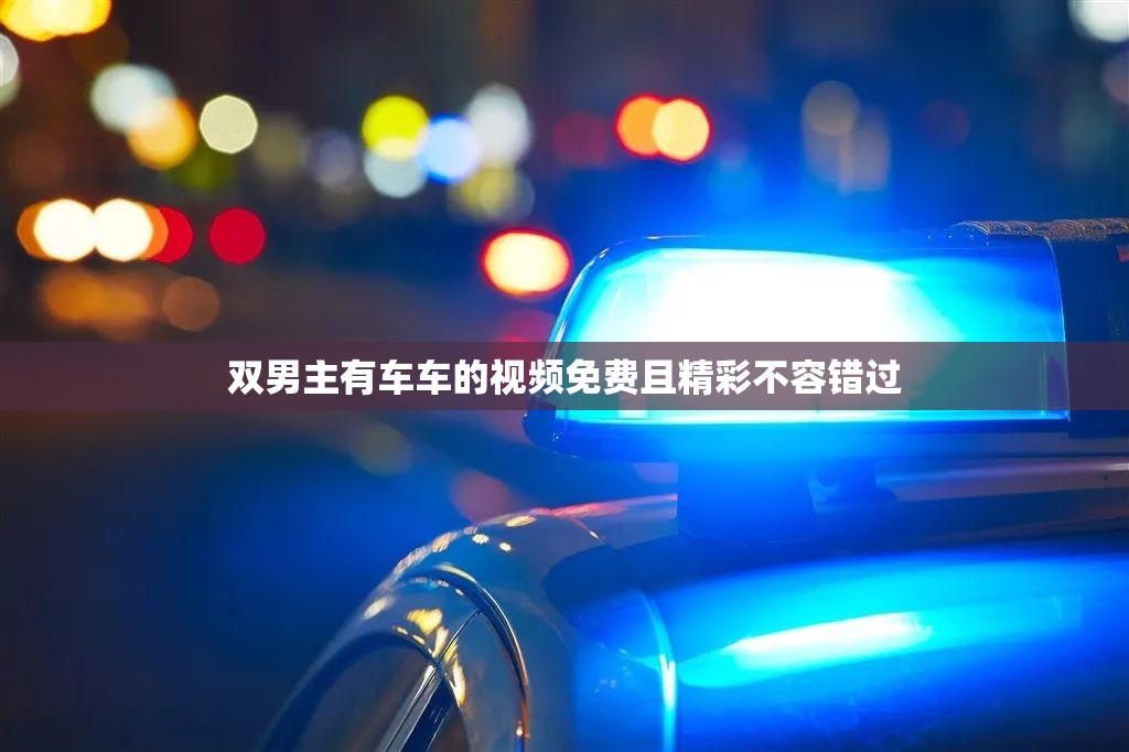 双男主有车车的视频免费且精彩不容错过