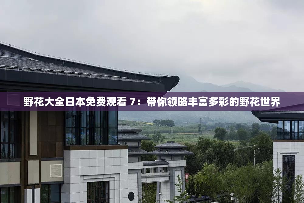 野花大全日本免费观看 7：带你领略丰富多彩的野花世界