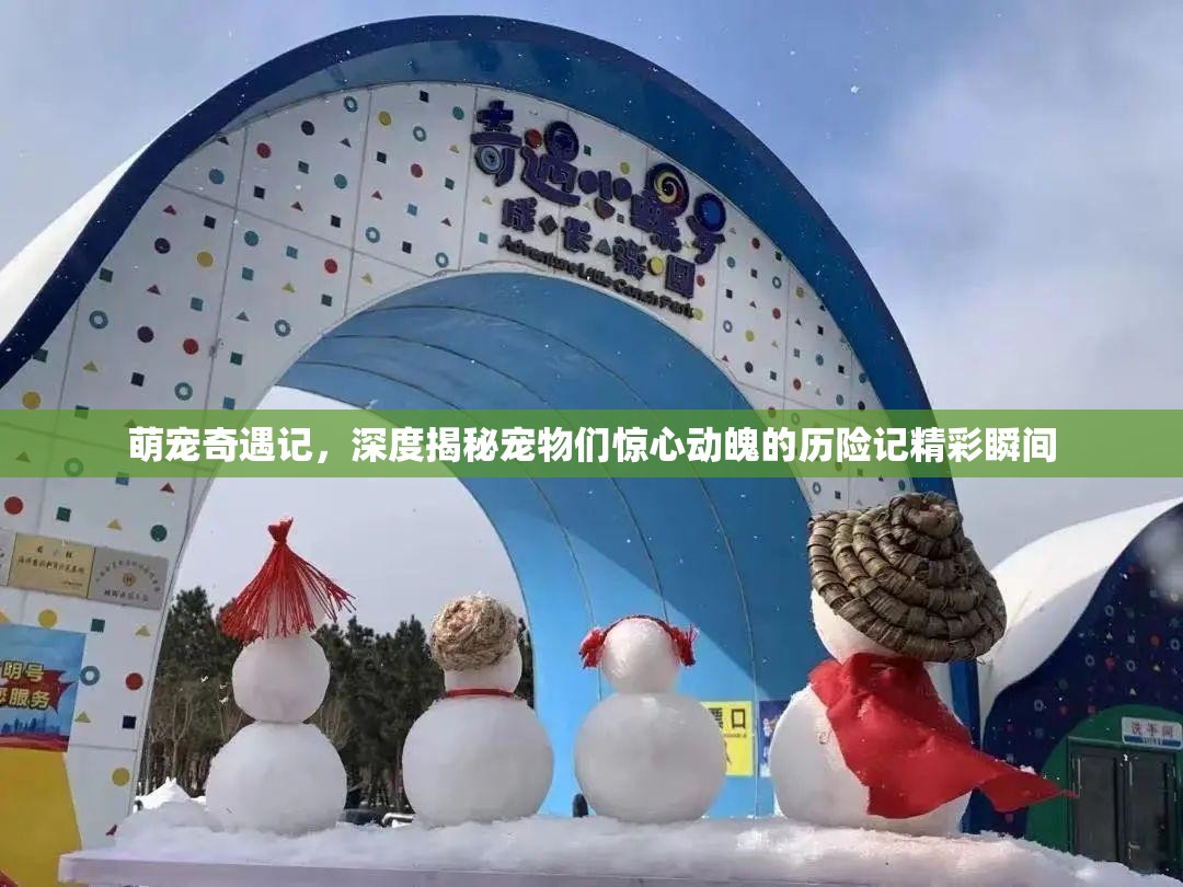 萌宠奇遇记，深度揭秘宠物们惊心动魄的历险记精彩瞬间