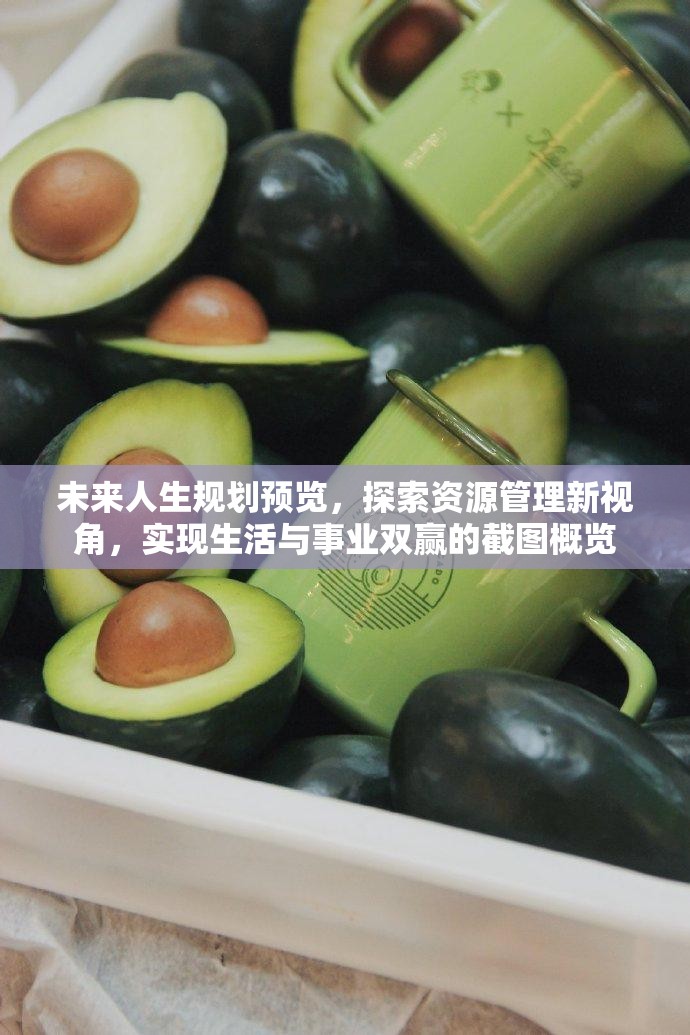未来人生规划预览，探索资源管理新视角，实现生活与事业双赢的截图概览