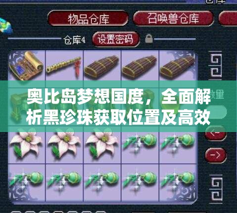 奥比岛梦想国度，全面解析黑珍珠获取位置及高效资源管理策略