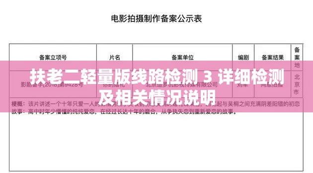 扶老二轻量版线路检测 3 详细检测及相关情况说明