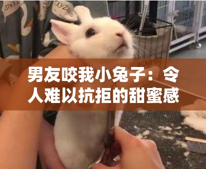 男友咬我小兔子：令人难以抗拒的甜蜜感觉