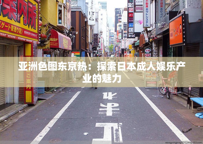 亚洲色图东京热：探索日本成人娱乐产业的魅力