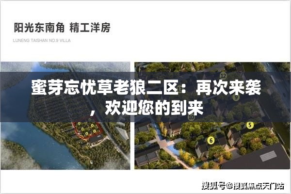 蜜芽忘忧草老狼二区：再次来袭，欢迎您的到来