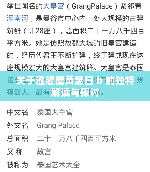 关于涩涩屋黄瑟日 b 的独特解读与探讨