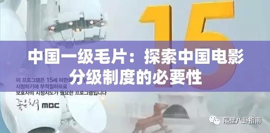 中国一级毛片：探索中国电影分级制度的必要性