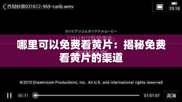 哪里可以免费看黄片：揭秘免费看黄片的渠道