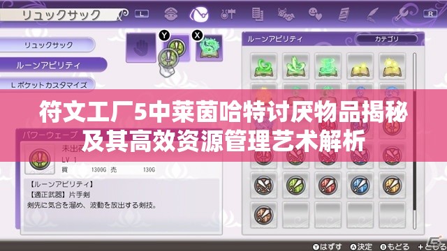 符文工厂5中莱茵哈特讨厌物品揭秘及其高效资源管理艺术解析