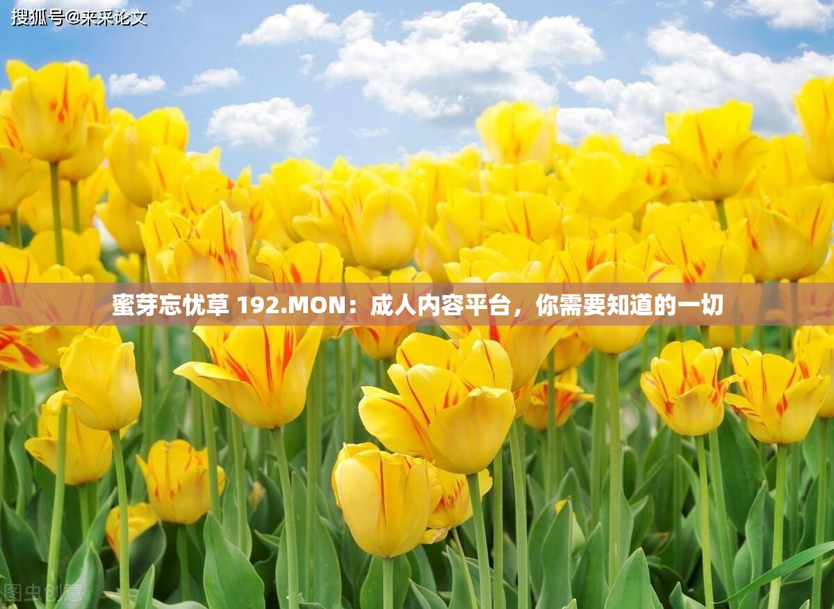 蜜芽忘忧草 192.MON：成人内容平台，你需要知道的一切