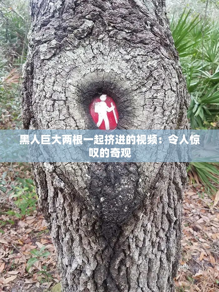 黑人巨大两根一起挤进的视频：令人惊叹的奇观