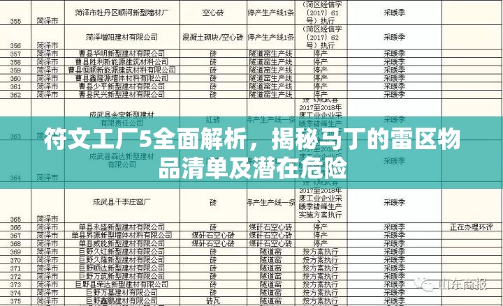 符文工厂5全面解析，揭秘马丁的雷区物品清单及潜在危险