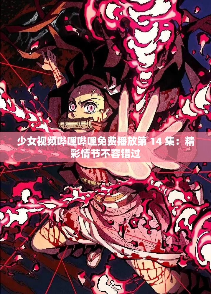 少女视频哔哩哔哩免费播放第 14 集：精彩情节不容错过