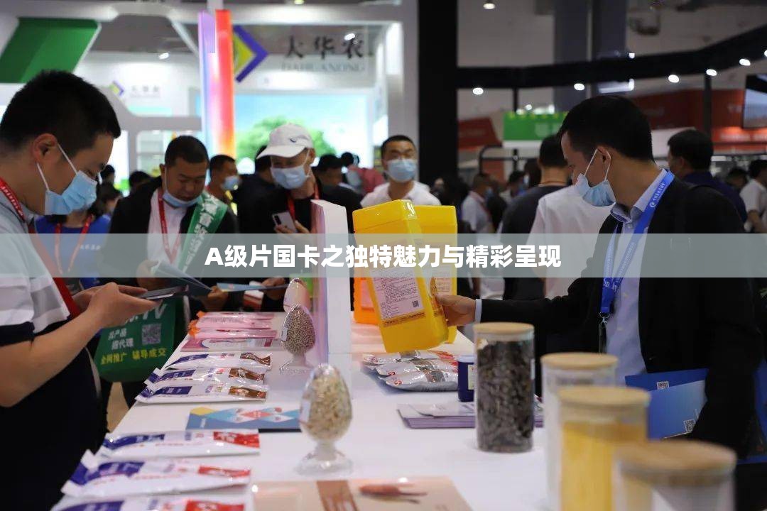 A级片国卡之独特魅力与精彩呈现