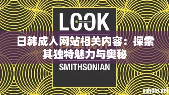 日韩成人网站相关内容：探索其独特魅力与奥秘