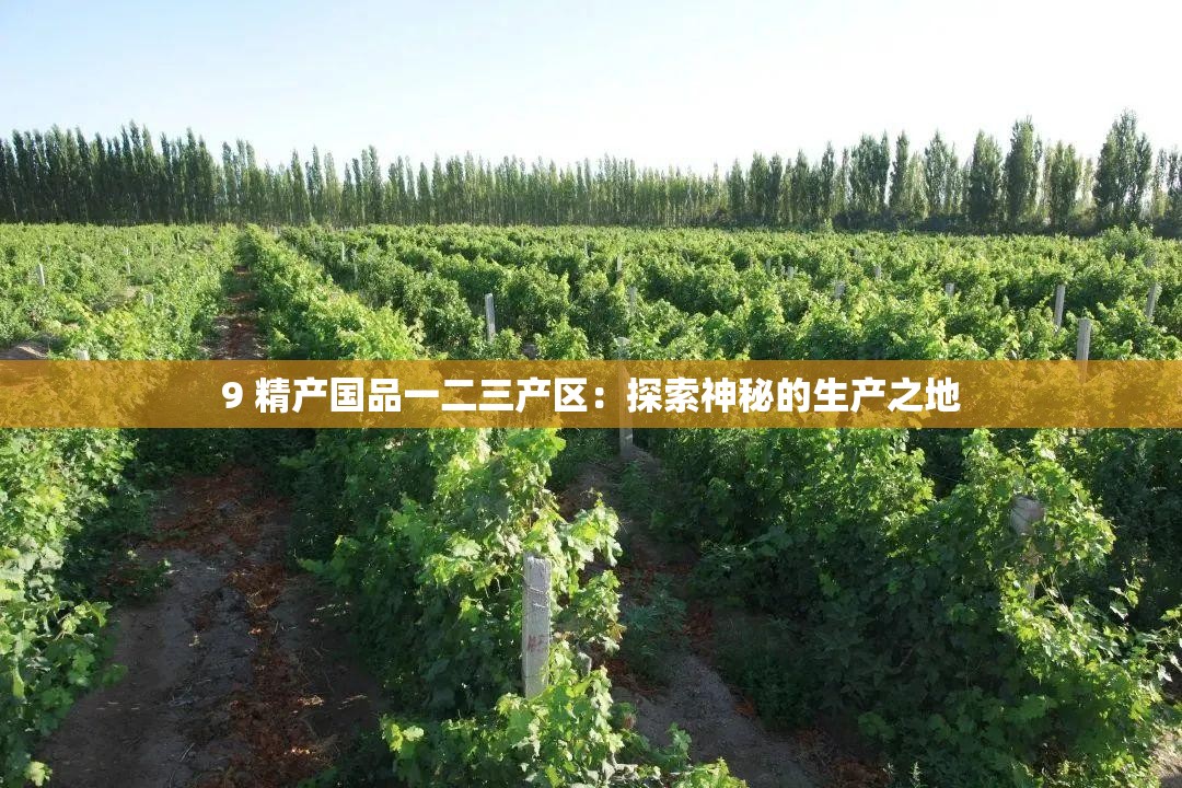 9 精产国品一二三产区：探索神秘的生产之地