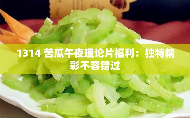 1314 苦瓜午夜理论片福利：独特精彩不容错过