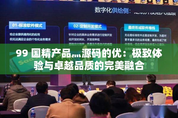 99 国精产品灬源码的优：极致体验与卓越品质的完美融合