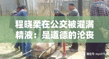 程晓柔在公交被灌满精液：是道德的沦丧还是人性的扭曲