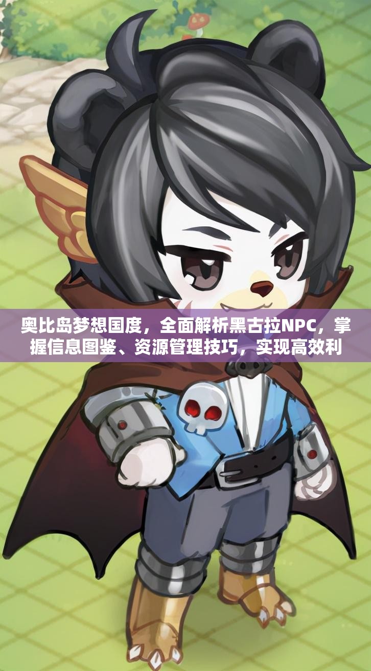 奥比岛梦想国度，全面解析黑古拉NPC，掌握信息图鉴、资源管理技巧，实现高效利用避免浪费