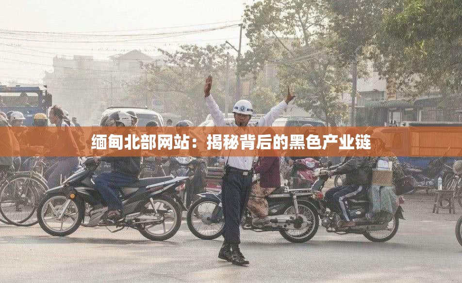 缅甸北部网站：揭秘背后的黑色产业链