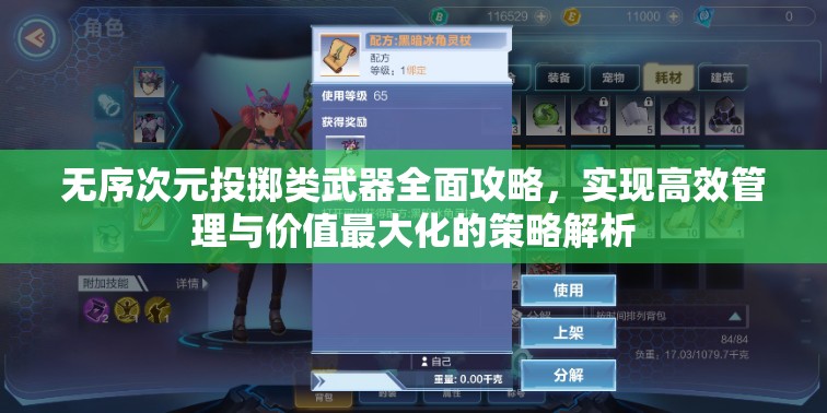 无序次元投掷类武器全面攻略，实现高效管理与价值最大化的策略解析