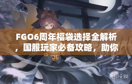 FGO6周年福袋选择全解析，国服玩家必备攻略，助你明智挑选心仪英灵