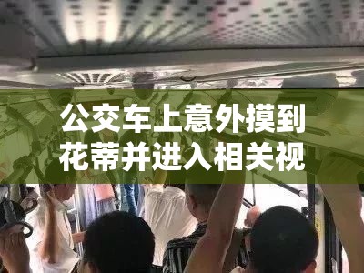 公交车上意外摸到花蒂并进入相关视频引发关注
