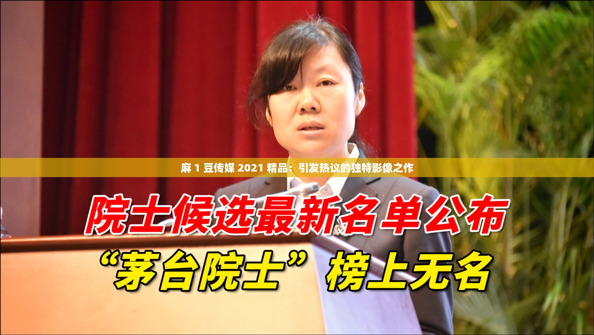 麻 1 豆传媒 2021 精品：引发热议的独特影像之作