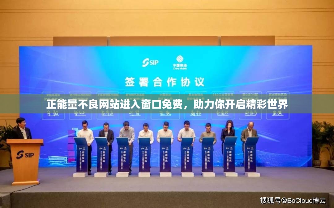 正能量不良网站进入窗口免费，助力你开启精彩世界
