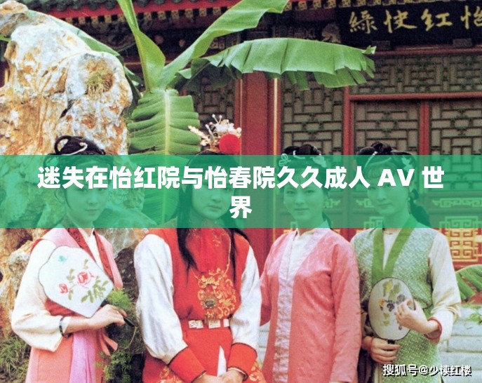 迷失在怡红院与怡春院久久成人 AV 世界