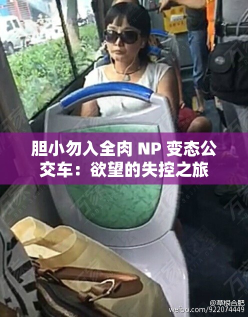 胆小勿入全肉 NP 变态公交车：欲望的失控之旅