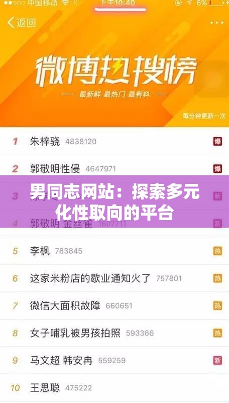 男同志网站：探索多元化性取向的平台