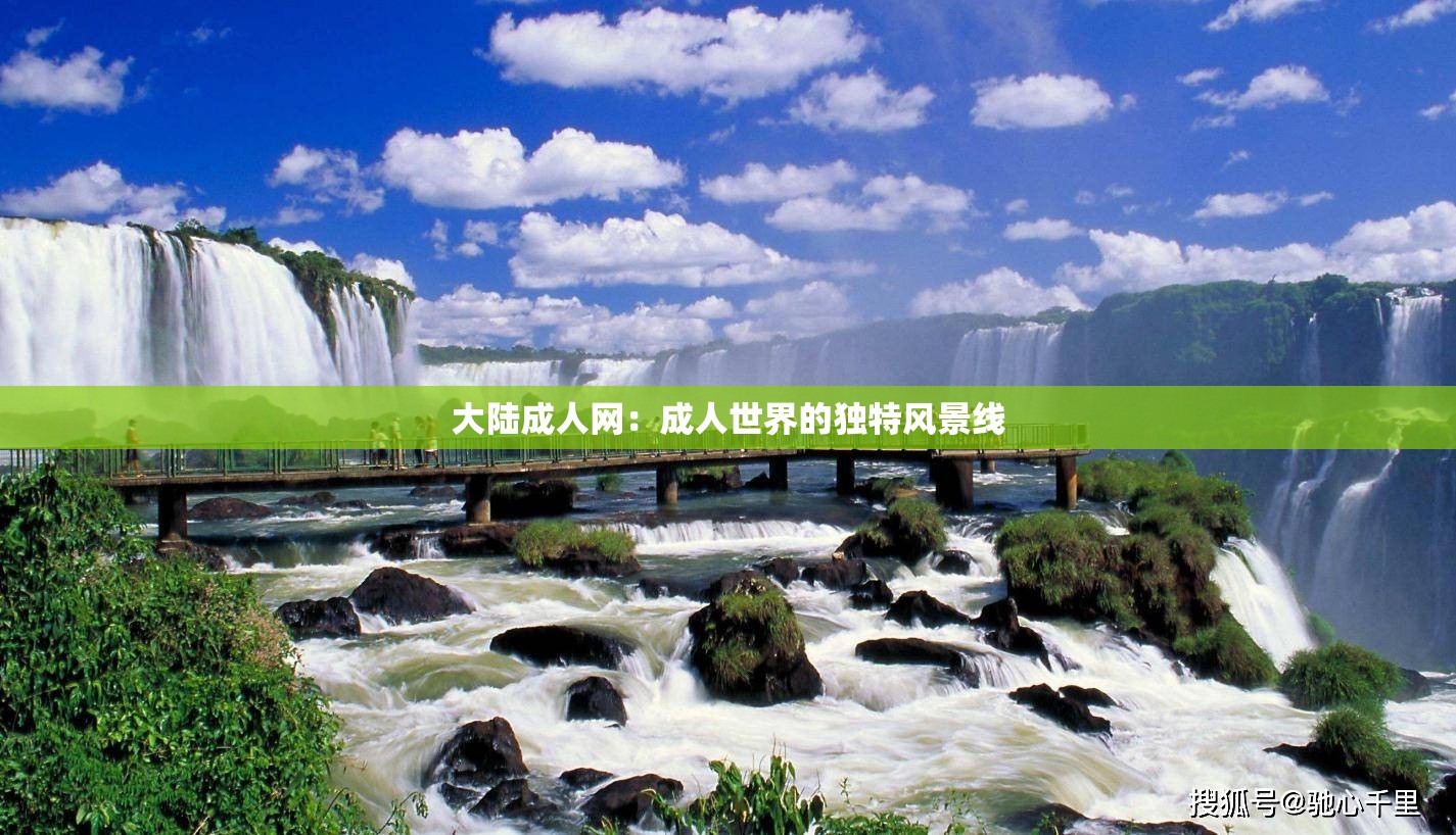 大陆成人网：成人世界的独特风景线