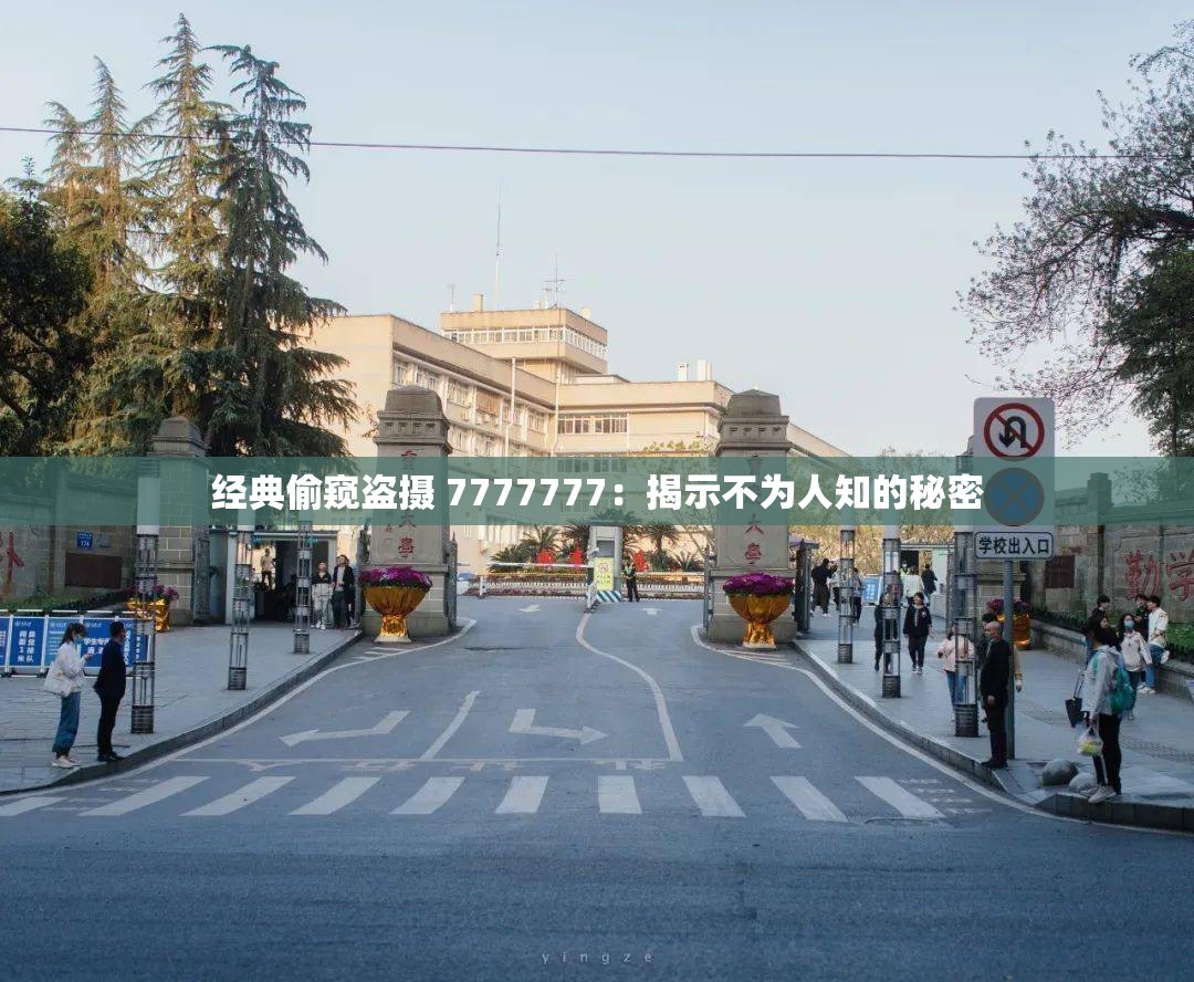 经典偷窥盗摄 7777777：揭示不为人知的秘密