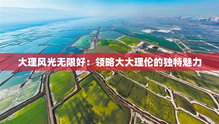 大理风光无限好：领略大大理伦的独特魅力