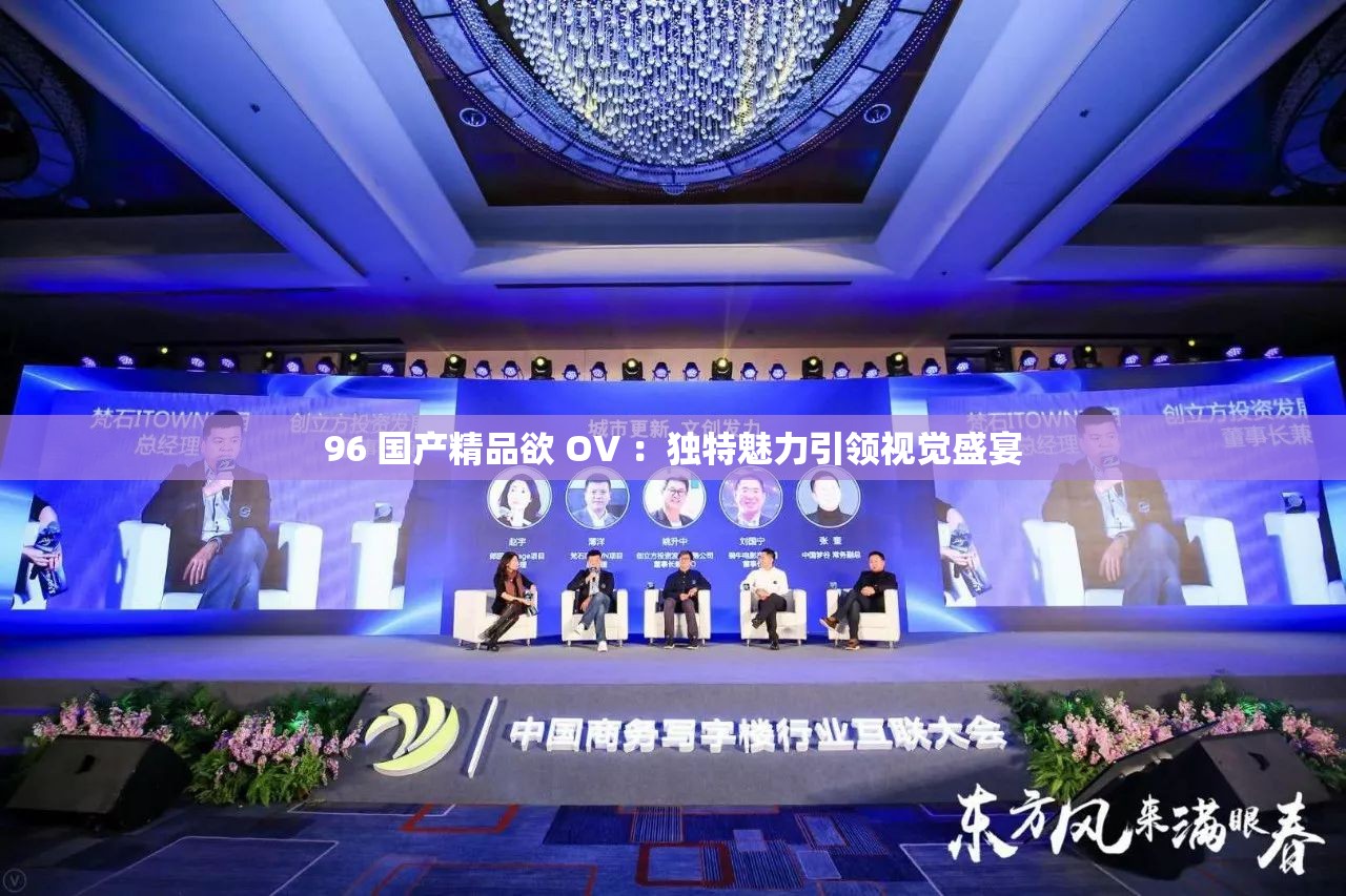 96 国产精品欲 OV ：独特魅力引领视觉盛宴