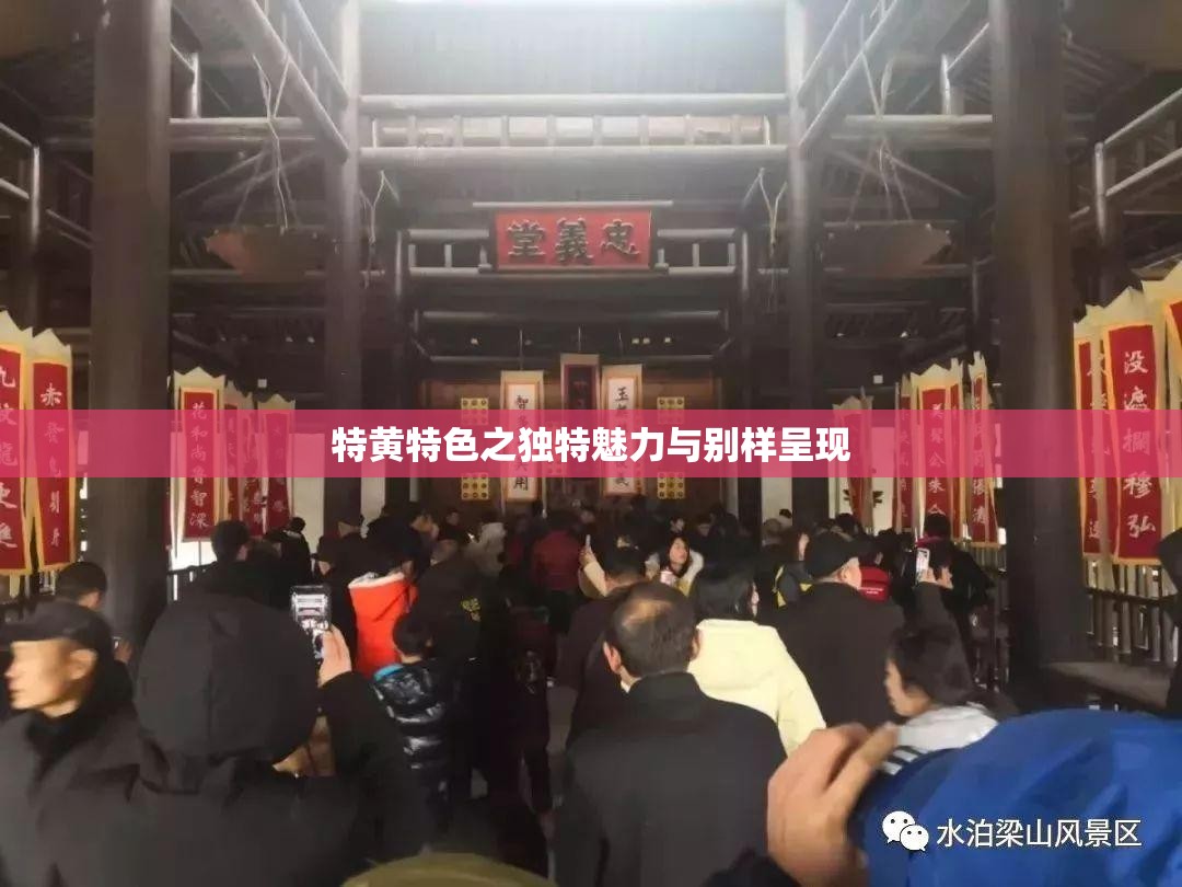 特黄特色之独特魅力与别样呈现