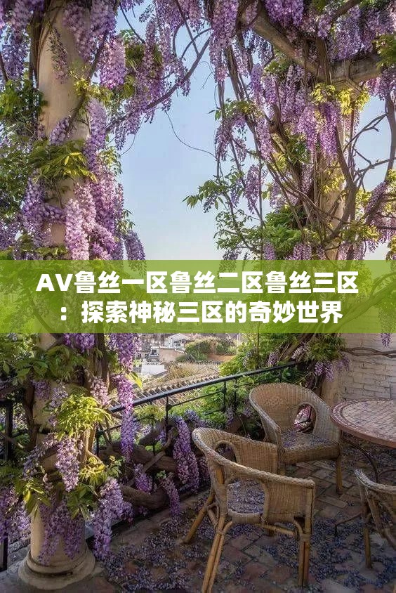 A∨鲁丝一区鲁丝二区鲁丝三区：探索神秘三区的奇妙世界