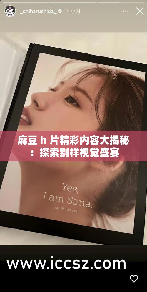 麻豆 h 片精彩内容大揭秘：探索别样视觉盛宴