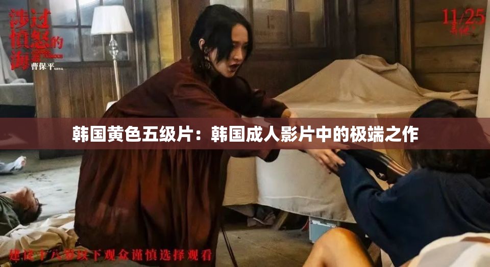 韩国黄色五级片：韩国成人影片中的极端之作