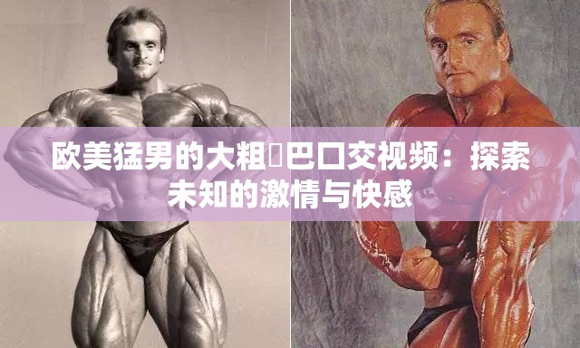 欧美猛男的大粗鳮巴囗交视频：探索未知的激情与快感