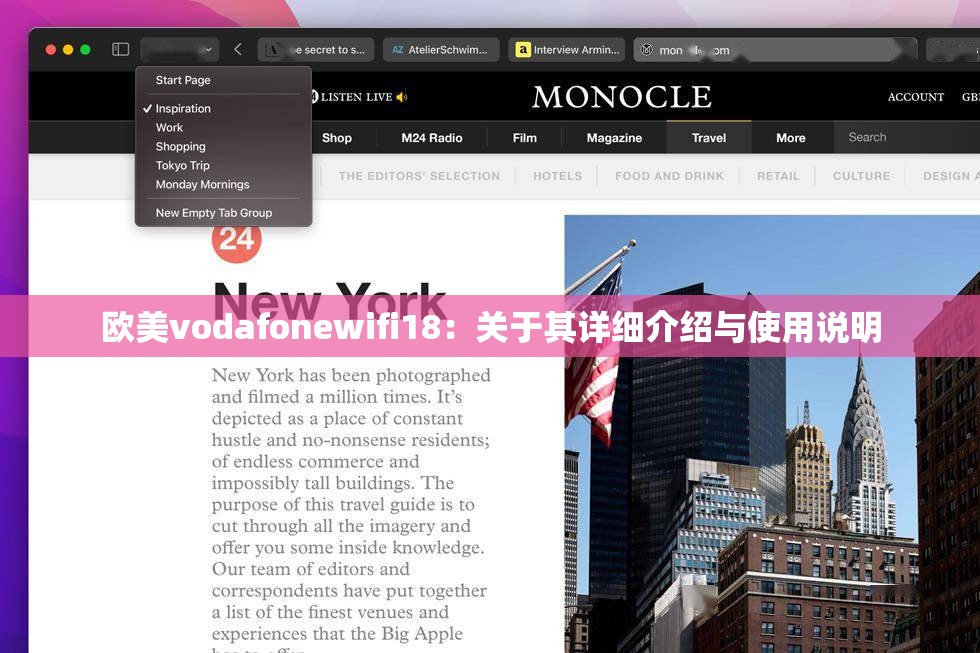 欧美vodafonewifi18：关于其详细介绍与使用说明