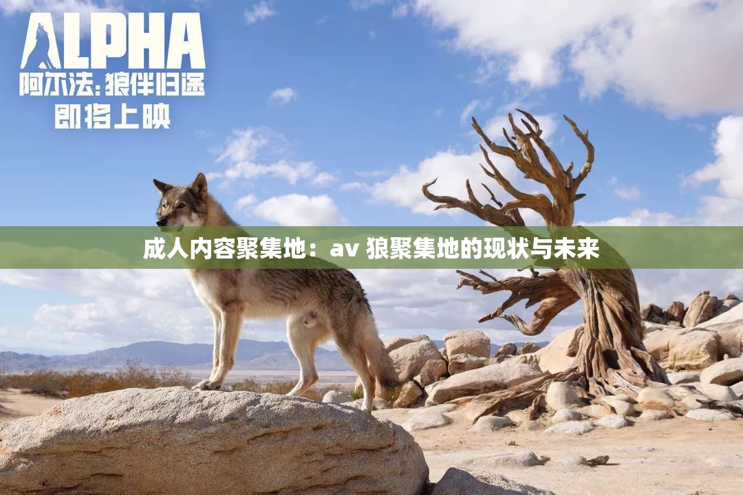 成人内容聚集地：av 狼聚集地的现状与未来