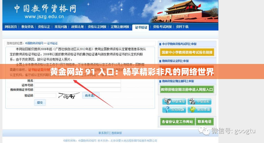 黄金网站 91 入口：畅享精彩非凡的网络世界