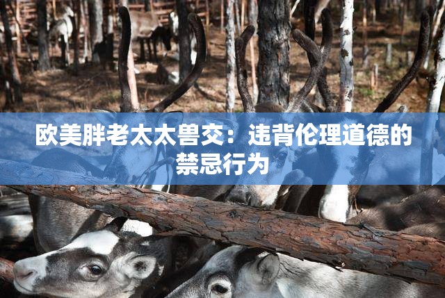 欧美胖老太太兽交：违背伦理道德的禁忌行为