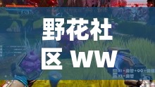 野花社区 WWW 三无限播放：精彩内容无限畅享